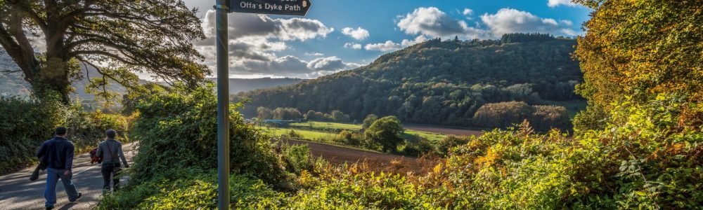 WYE VALLEY